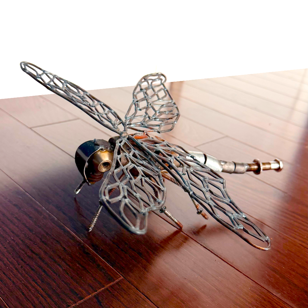 Dragonfly